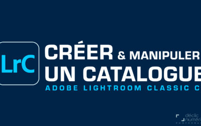 Créer et manipuler un catalogue – Lightroom Classic CC 2021