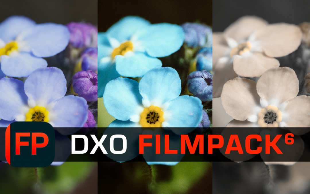 Donnez un RENDU de FILM ARGENTIQUE à vos PHOTOS numériques avec DxO FilmPack 6.