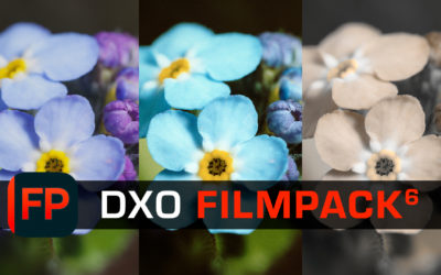 Donnez un RENDU de FILM ARGENTIQUE à vos PHOTOS numériques avec DxO FilmPack 6.